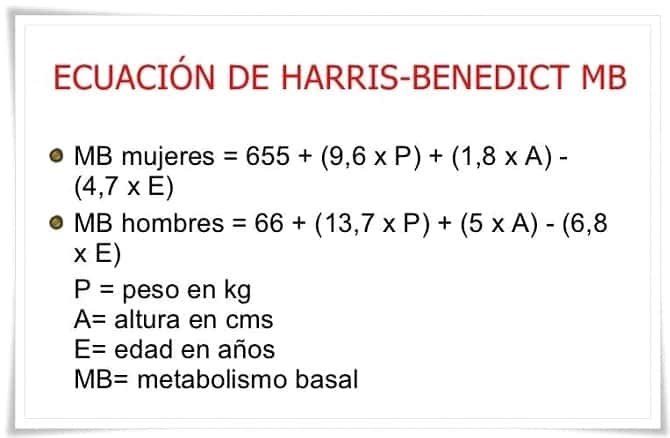 Metabolismo del culturista