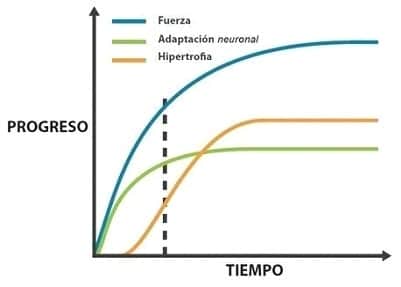 Hipertrofia musculación atleta culturismo natural