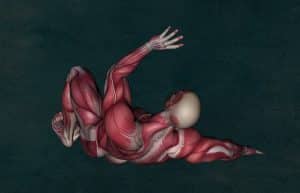 musculos y ejercicio