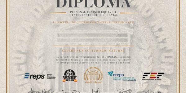 Diploma Experto