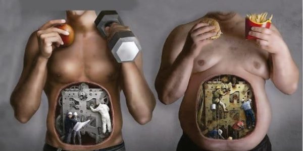 METABOLISMO deporte