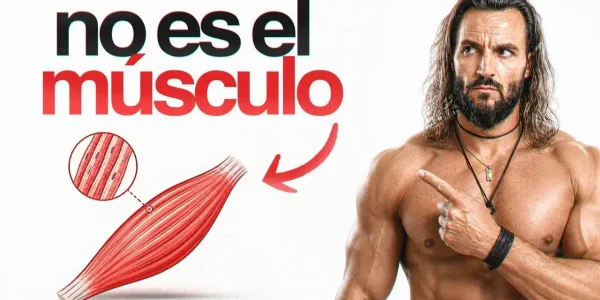 memoria muscular