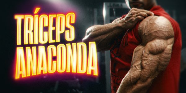 triceps mini
